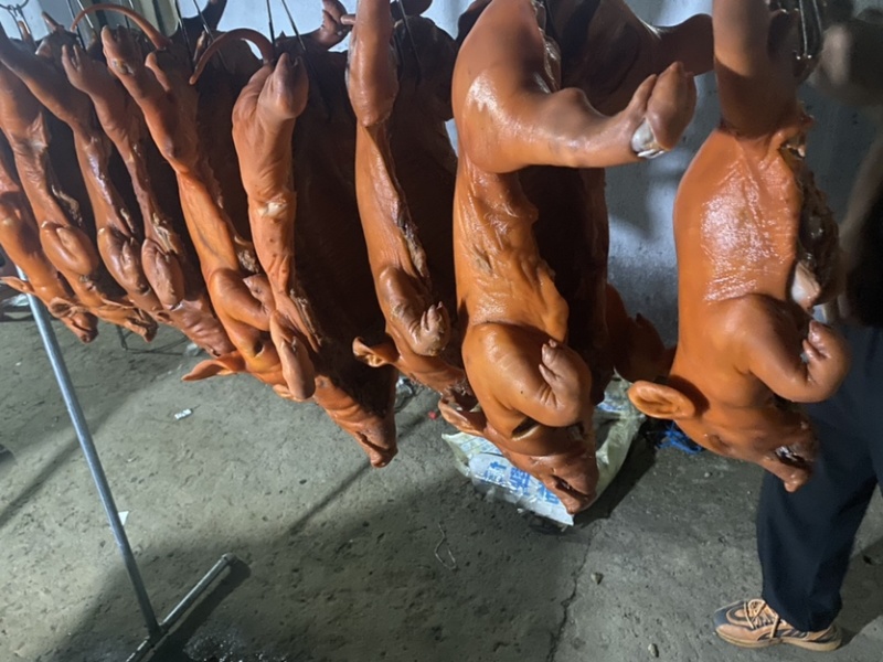 乳猪厂家直供新鲜发货量大从优欢迎咨询