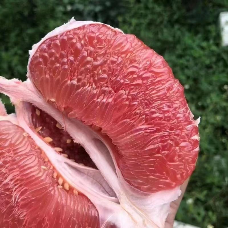《精选》蜜柚，红心柚，电商平台，商超，市场大量供应
