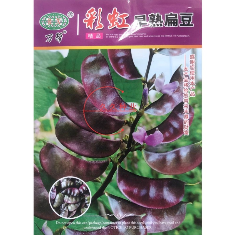 彩虹早熟扁豆种子高产四季紫豆角种子红眉豆蔬菜梅豆孑架豆