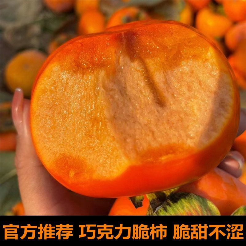 山西阳丰脆皮甜柿子（自家果园，产地直发）