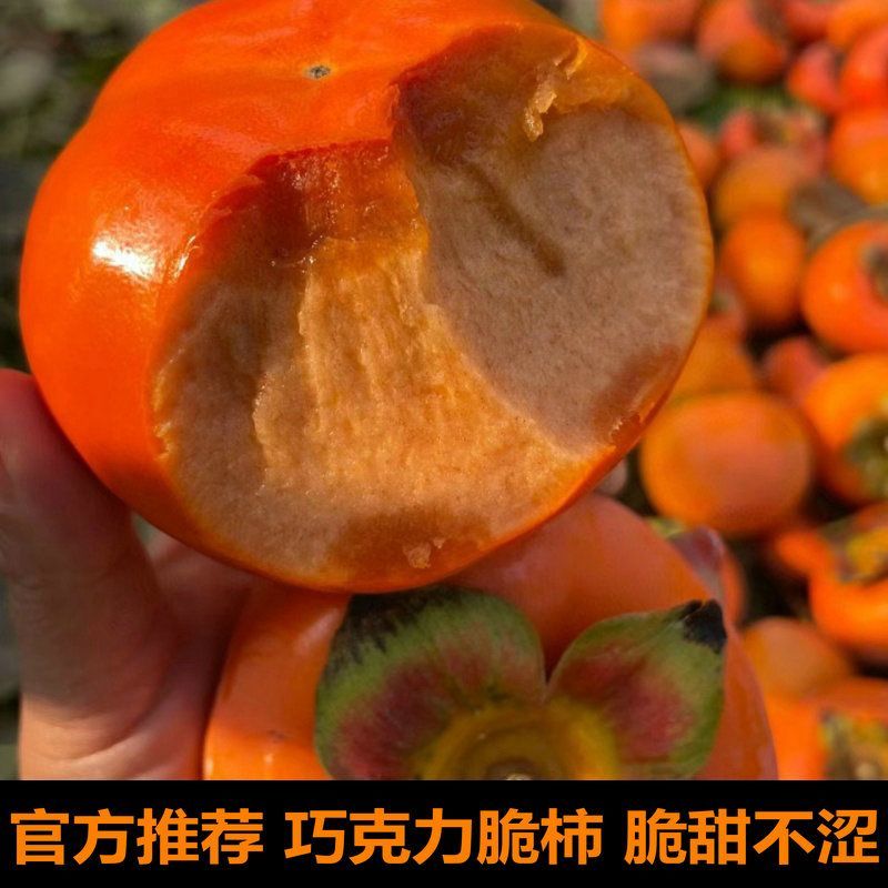 山西阳丰脆皮甜柿子（自家果园，产地直发）