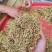 贵州野生金银花
