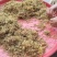 贵州野生金银花