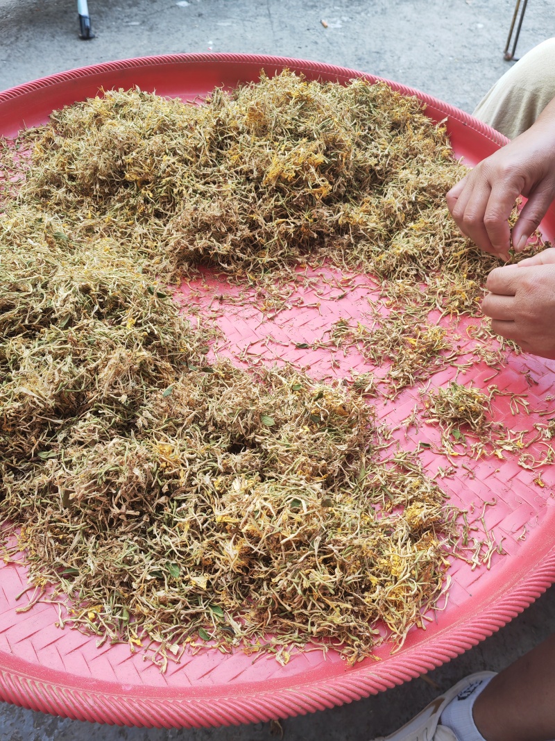 贵州野生金银花