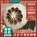 汉中香橼当季现货货源充足量大从优质量保证欢迎咨询