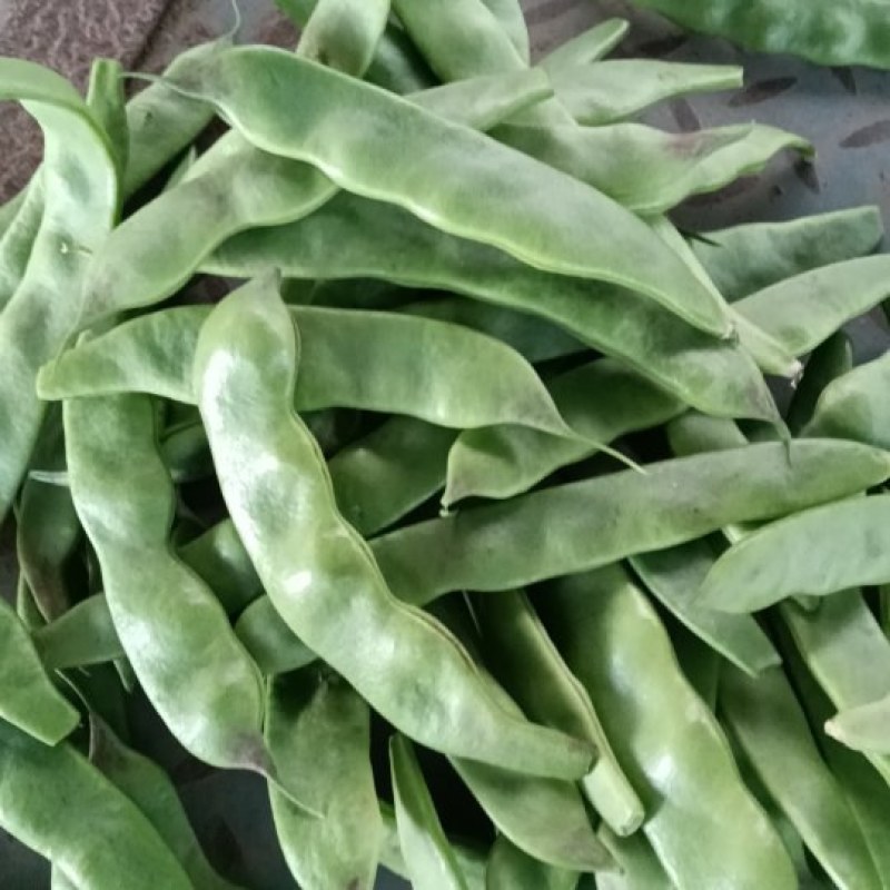 油豆角
