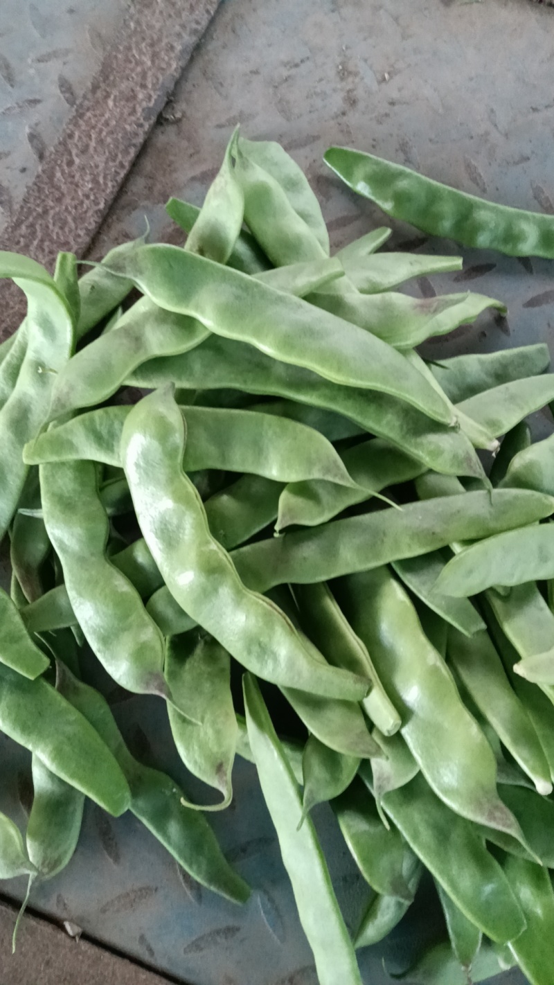 油豆角