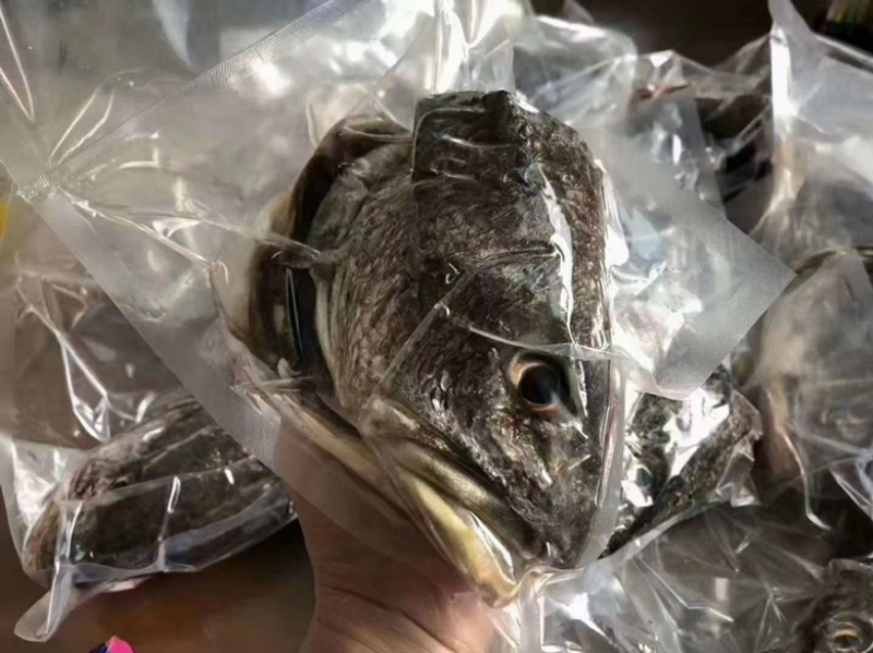 海鮸鱼