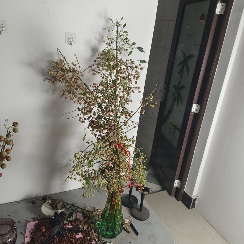 鲜切花白杜果鲜切枝