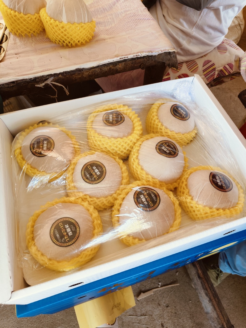精品秋月梨海量货源**超市市场