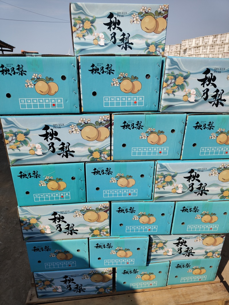 精品秋月梨海量货源**超市市场