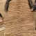 精品双棒山药，货源充足产地直发质量保证欢迎进店选购