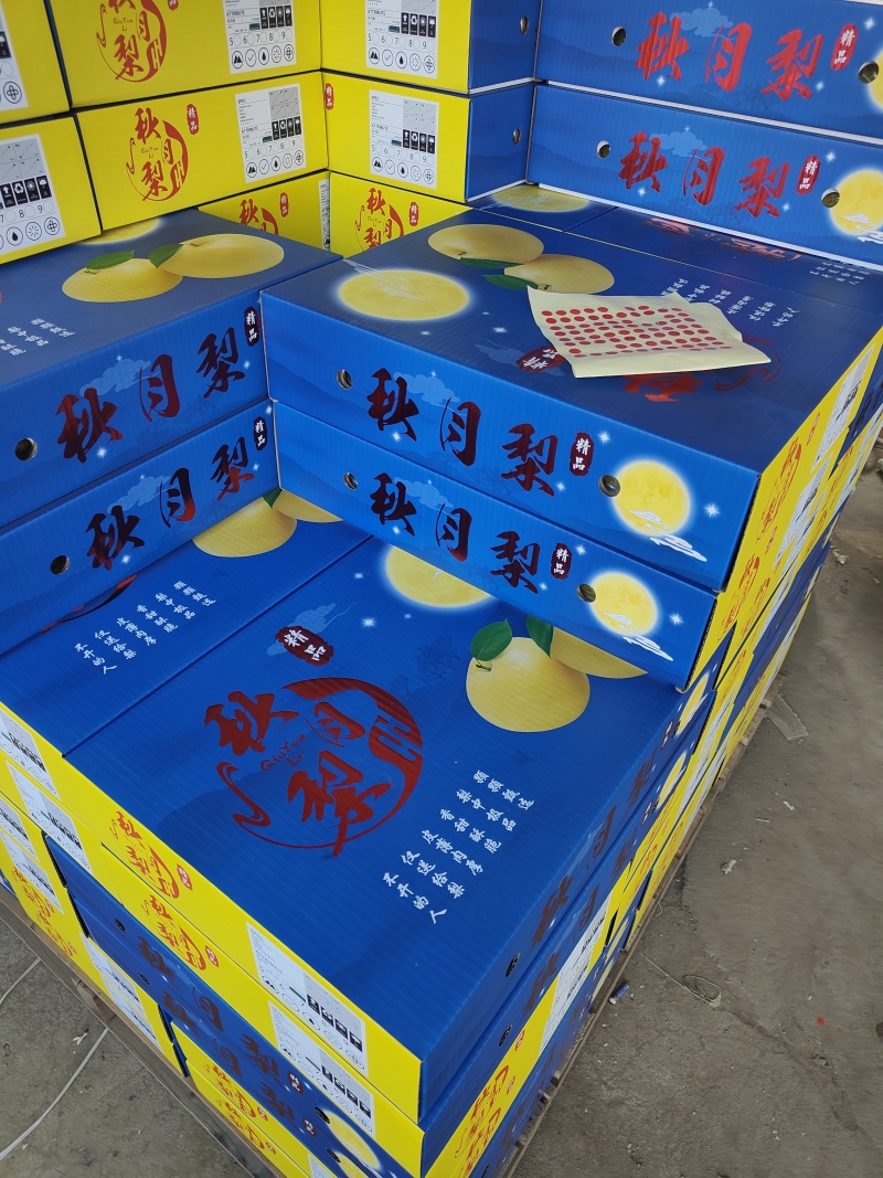 精品秋月梨海量货源**超市市场