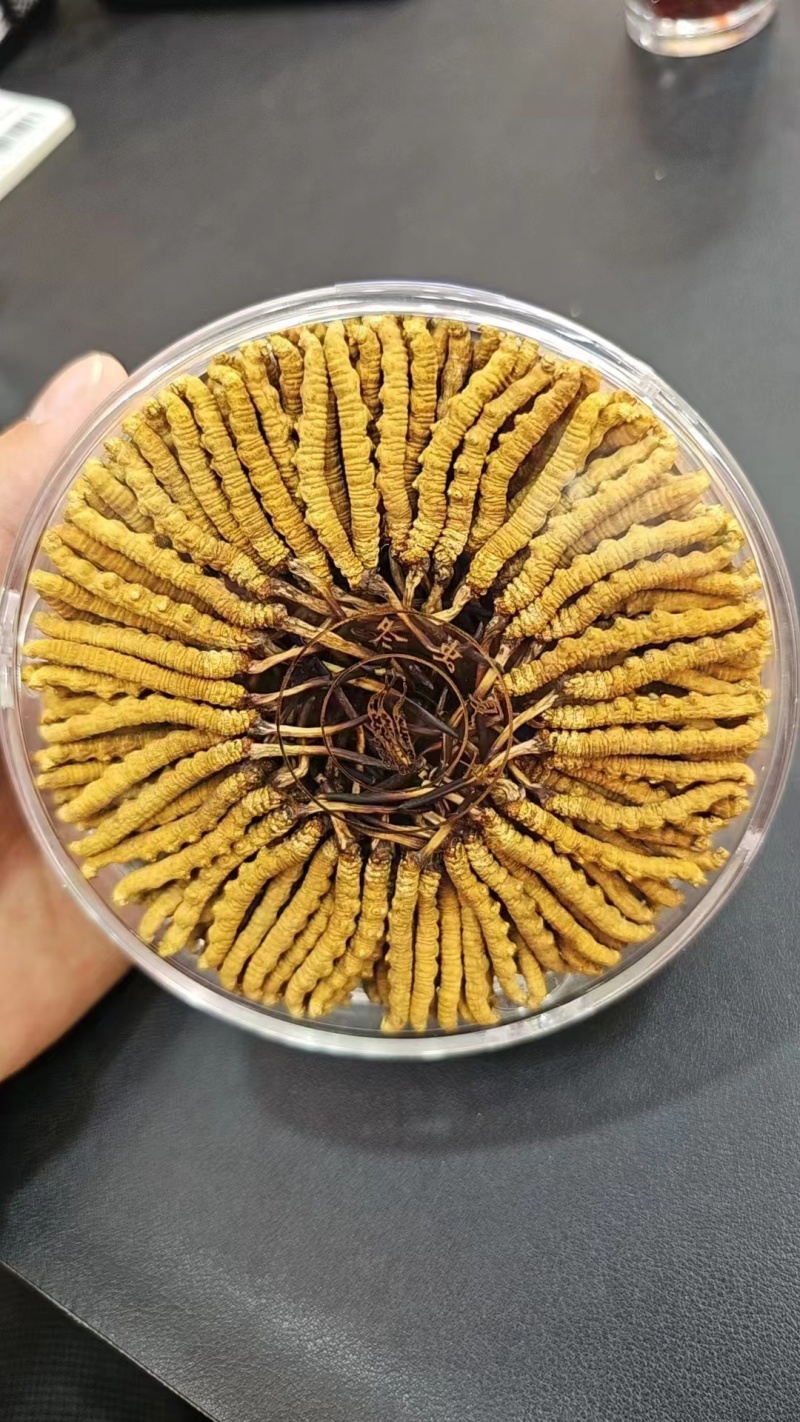【优选】精品虫草冬虫夏草产地直发货源充足保证质