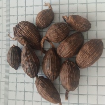 草果实拍产地直发批发零售有现货24小时内发货