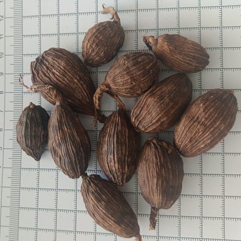 草果实拍产地直发批发零售有现货24小时内发货