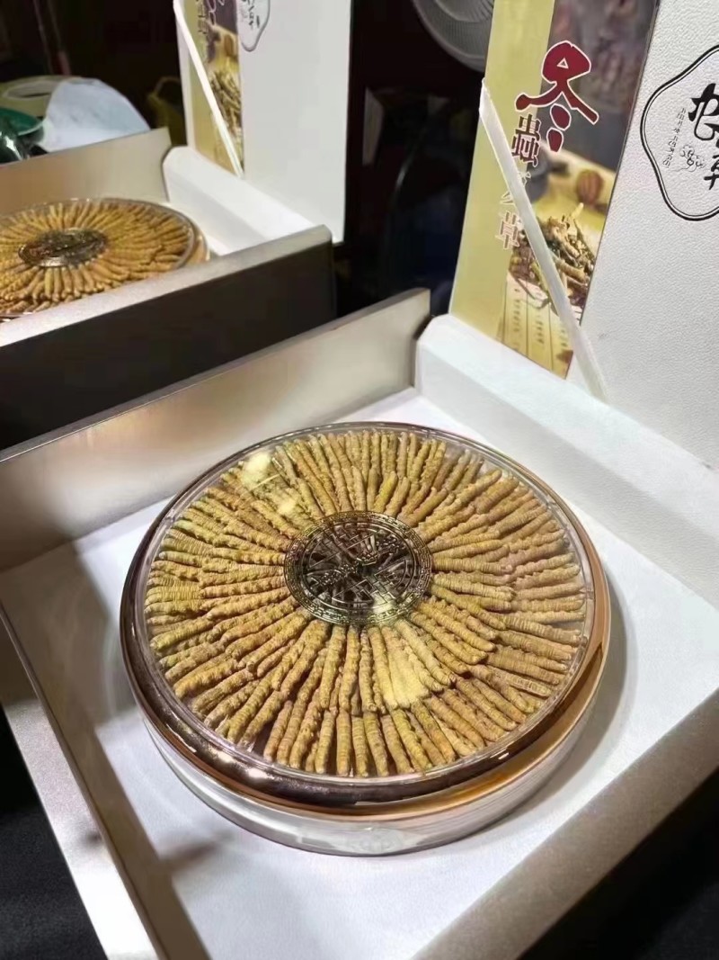 【优选】西藏那曲精品冬虫夏草，货源充足保证质量