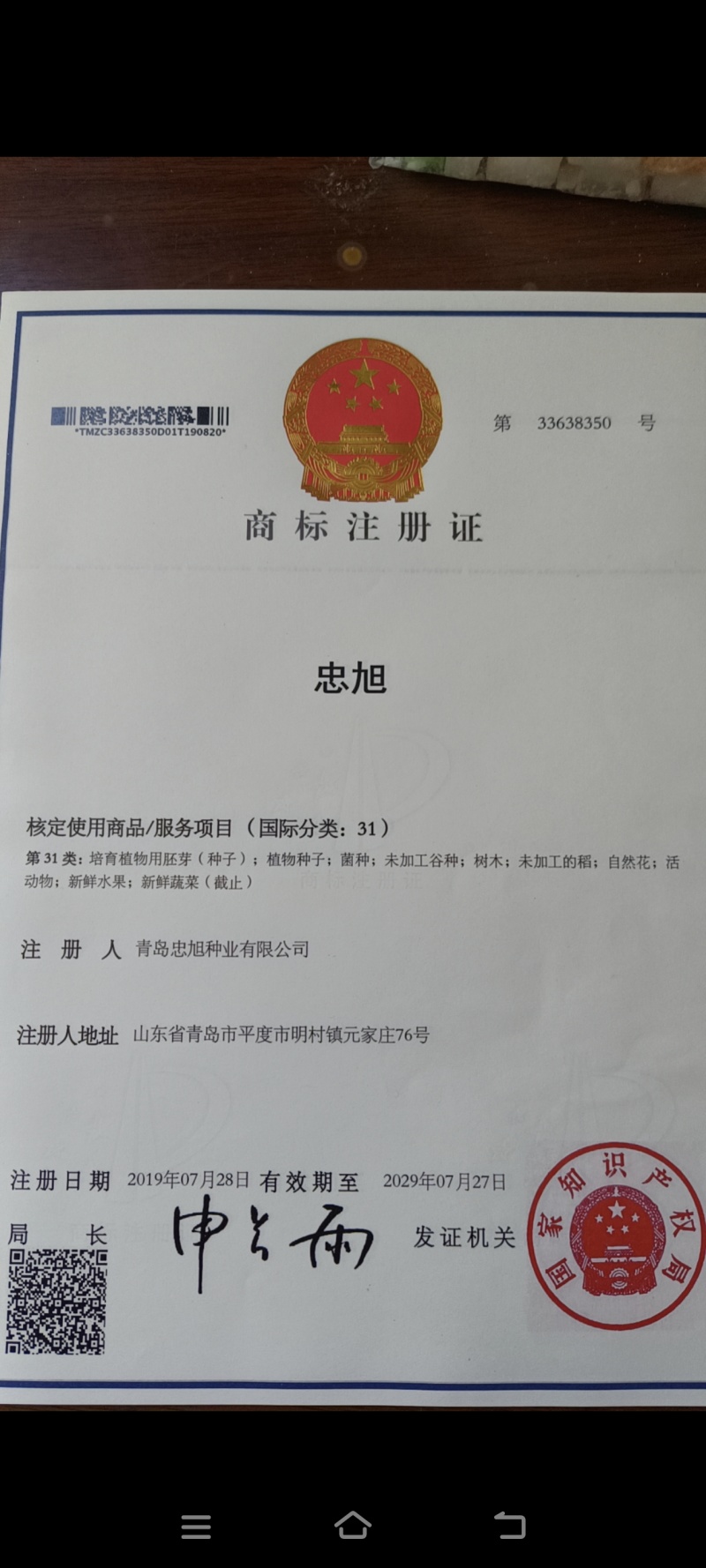 杂交葫芦籽嫁接西瓜专用砧木种子抗病能力强口感好大棚陆地种