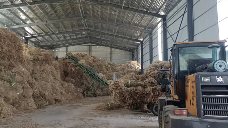 牛羊草大量出货价格优惠视频看货规格齐全