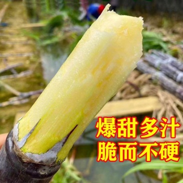 云南黑皮甘蔗，一手货源，脆甜汁多，全国发货，品质保证