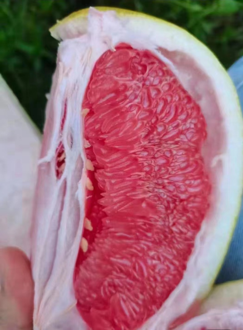 三红蜜柚子精品柚子皮薄肉厚汁水充足电商市场商超