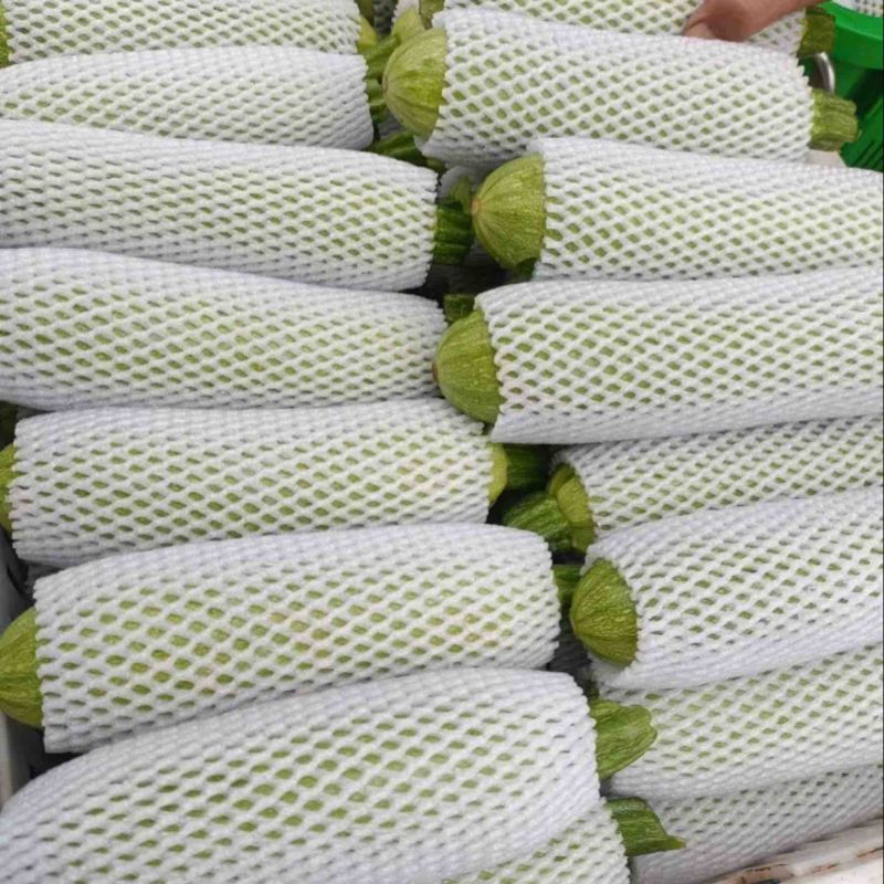 云南精品西葫芦食堂货价格美丽量大从优欢迎电话咨询