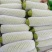 云南精品西葫芦食堂货价格美丽量大从优欢迎电话咨询
