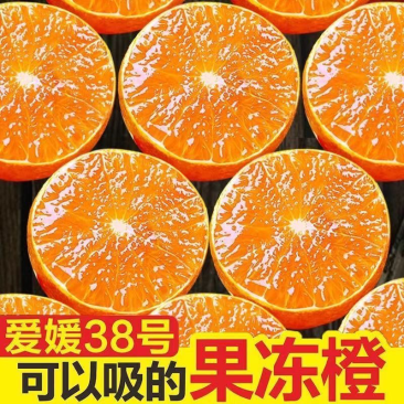 四川眉山爱媛38号果冻橙市场货电商货一件代发