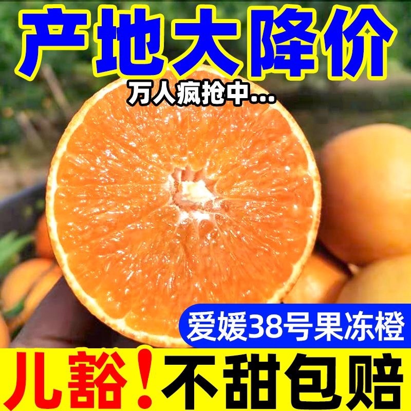 四川眉山爱媛38号果冻橙市场货电商货一件代发