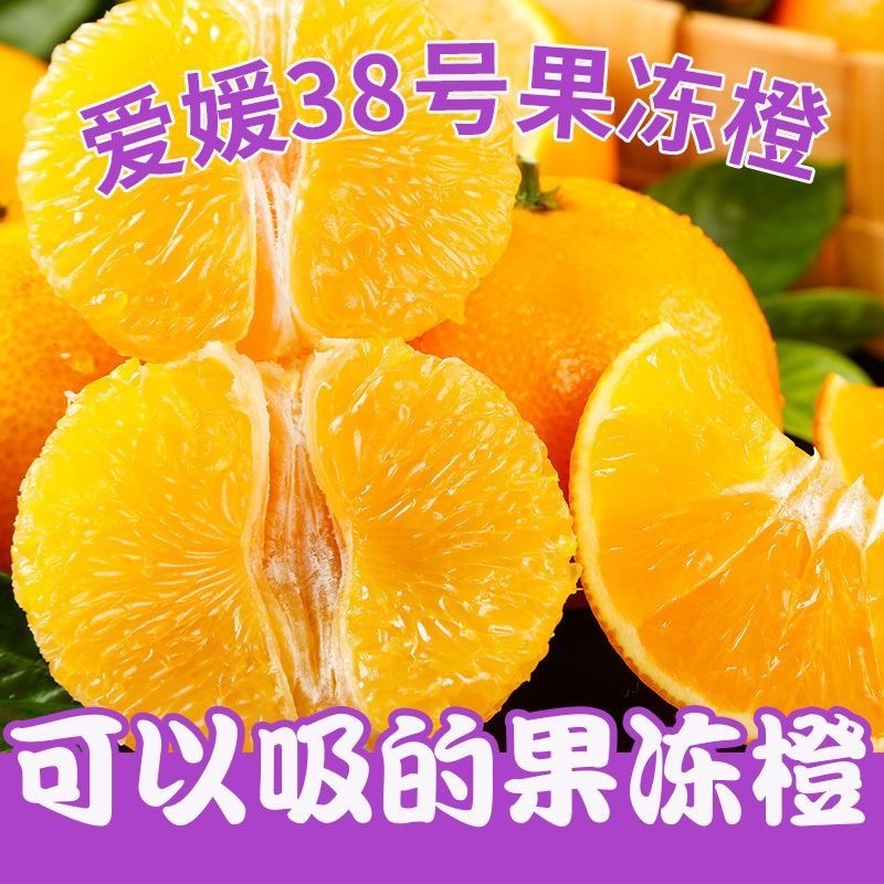 四川眉山爱媛38号果冻橙市场货电商货一件代发