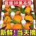 四川眉山爱媛38号果冻橙市场货电商货一件代发