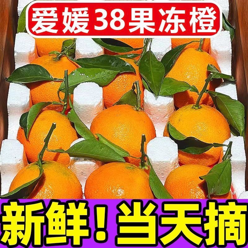 四川眉山爱媛38号果冻橙市场货电商货一件代发