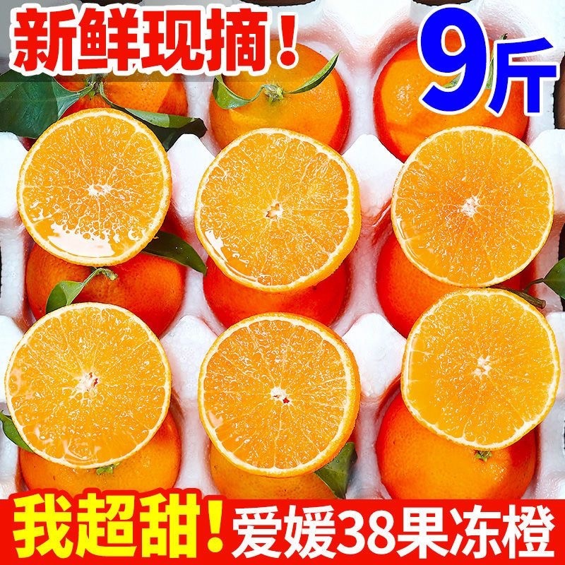 四川眉山爱媛38号果冻橙市场货电商货一件代发