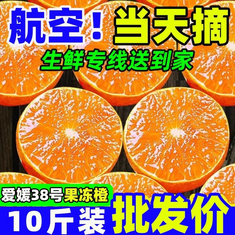 四川眉山爱媛38号果冻橙市场货电商货一件代发