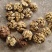 干核桃，产自有机农场，营养丰富，口感鲜美，**特惠！