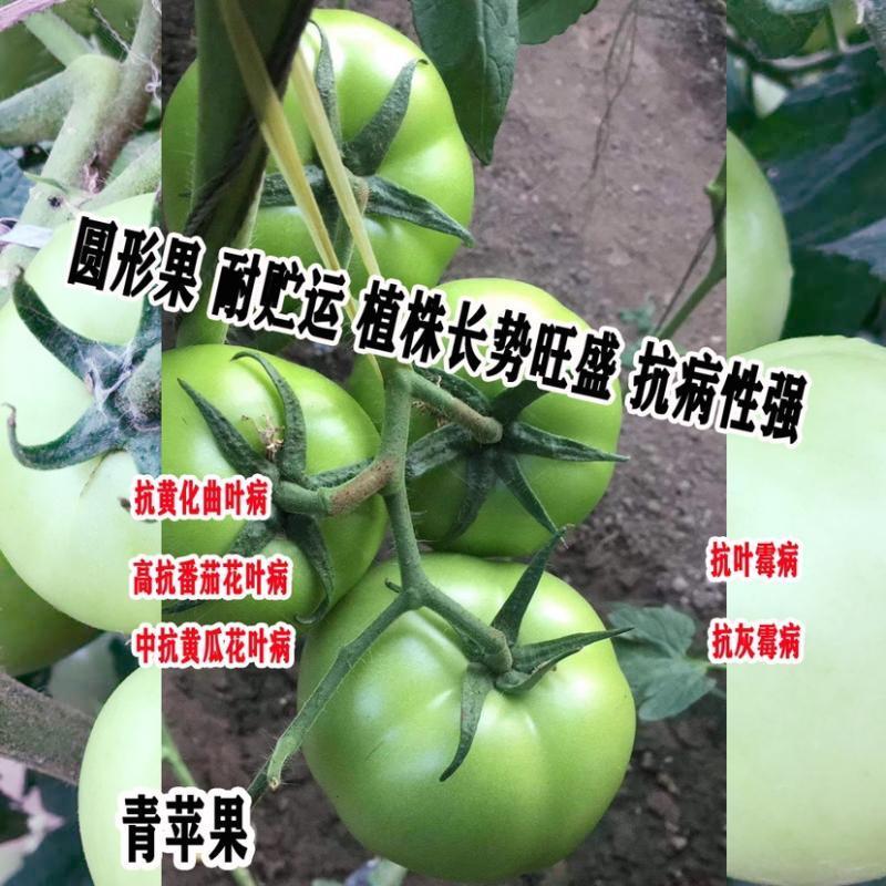 青苹果番茄种子无限生长型西红柿子绿皮肉甜好吃农家特色品种