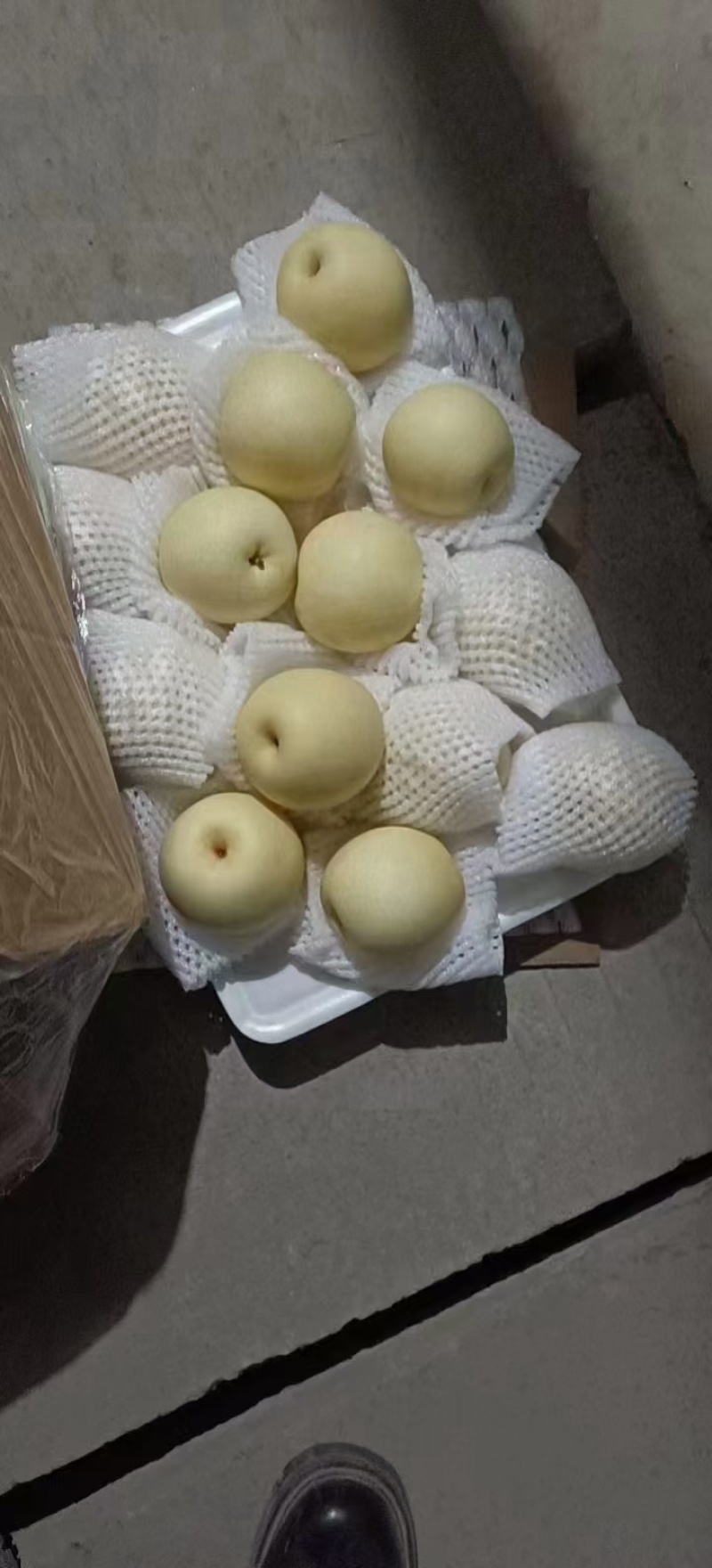鸭梨河北产区直发保质保量供货对接全国