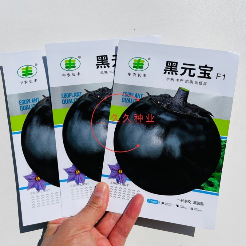 黑元宝圆茄种子中早熟紫黑茄子种籽特大黑茄蔬菜基地菜园