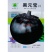 黑元宝圆茄种子中早熟紫黑茄子种籽特大黑茄蔬菜基地菜园