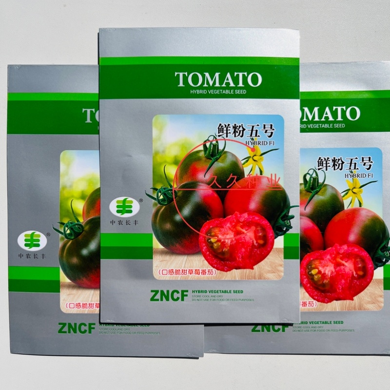 鲜粉五号西红柿种子春越冬早熟铁皮柿子水果草莓番茄种籽绿肩