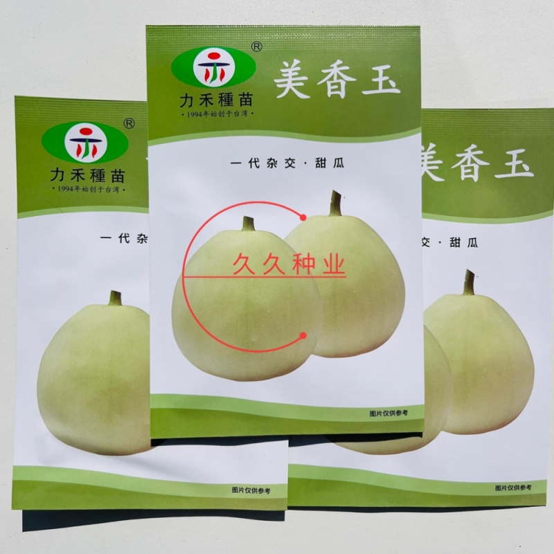 美香玉甜瓜种子甜瓜改良品种子大果薄皮香瓜种子香甜