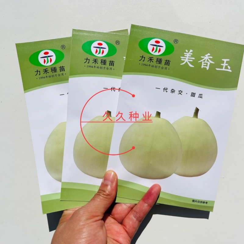美香玉甜瓜种子甜瓜改良品种子大果薄皮香瓜种子香甜