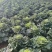 秋绿60白菜