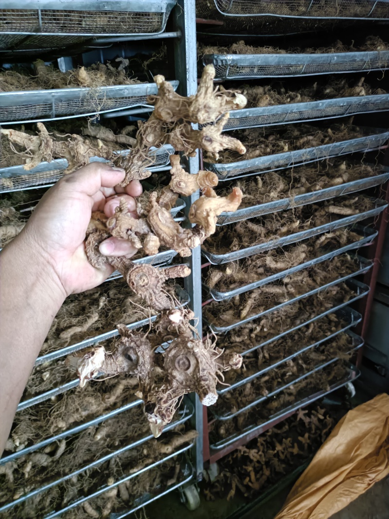 大别山纯野生紫杆黄精。药性达到国家药典标准