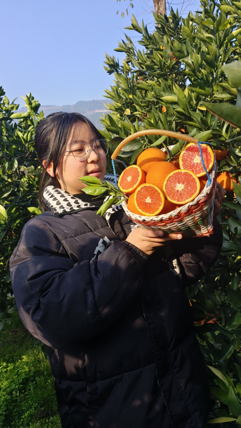 秭归脐橙橙子血橙红肉脐橙甜橙子湖北橙子产地直供一手货源