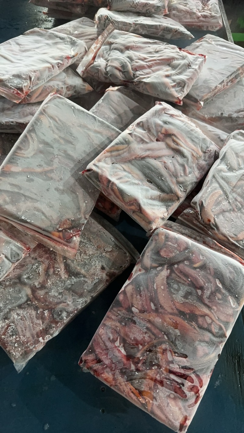 鳝鱼肉片