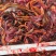 鳝鱼肉片