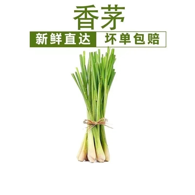 广东香茅草泰国香茅草奶茶店代发500亩产地