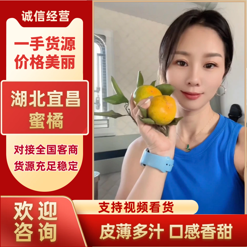 【热卖】蜜桔小叶橘皮薄纯甜糖分好大量供应