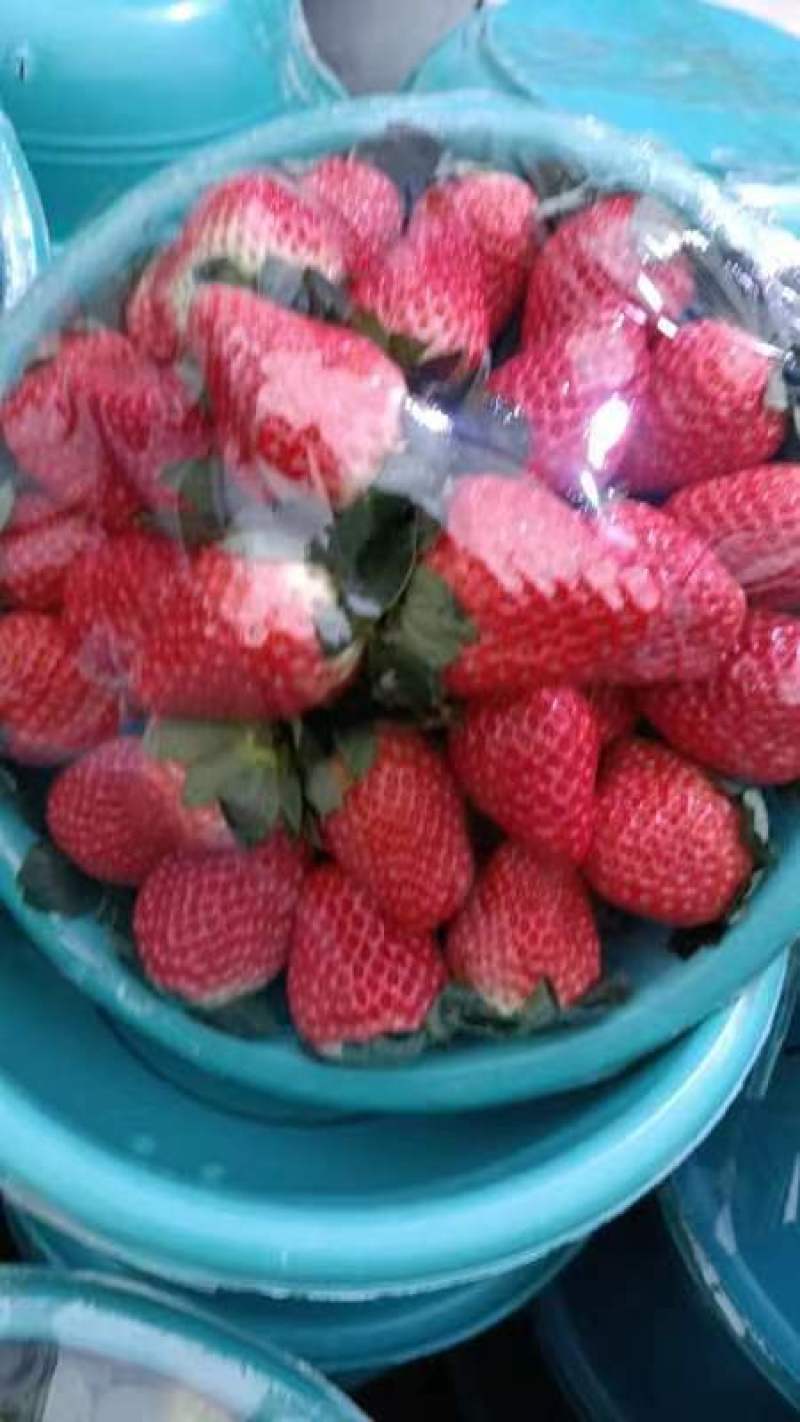 草莓个大包甜，耐储存耐运输，欢迎进店咨询